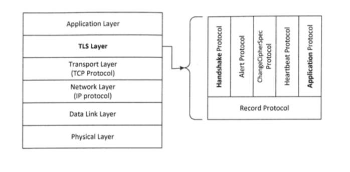 TLS网络协议栈